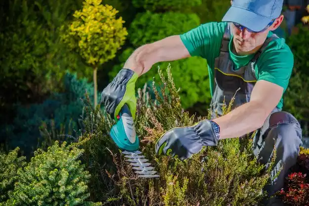 landscaping services Cape Neddick